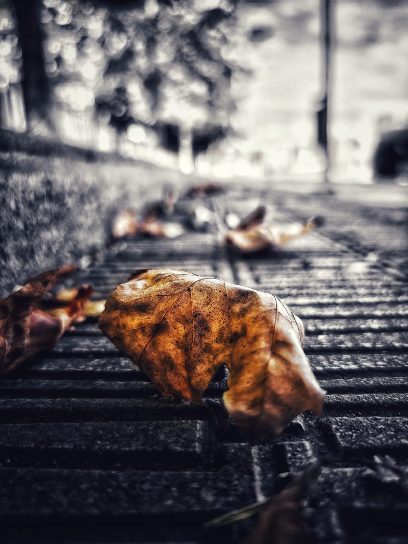 Desaturado Selectivo |  Soledad 2 | Momentos Splash (Cut Out). Fotografía Creativa Ibarakaldo