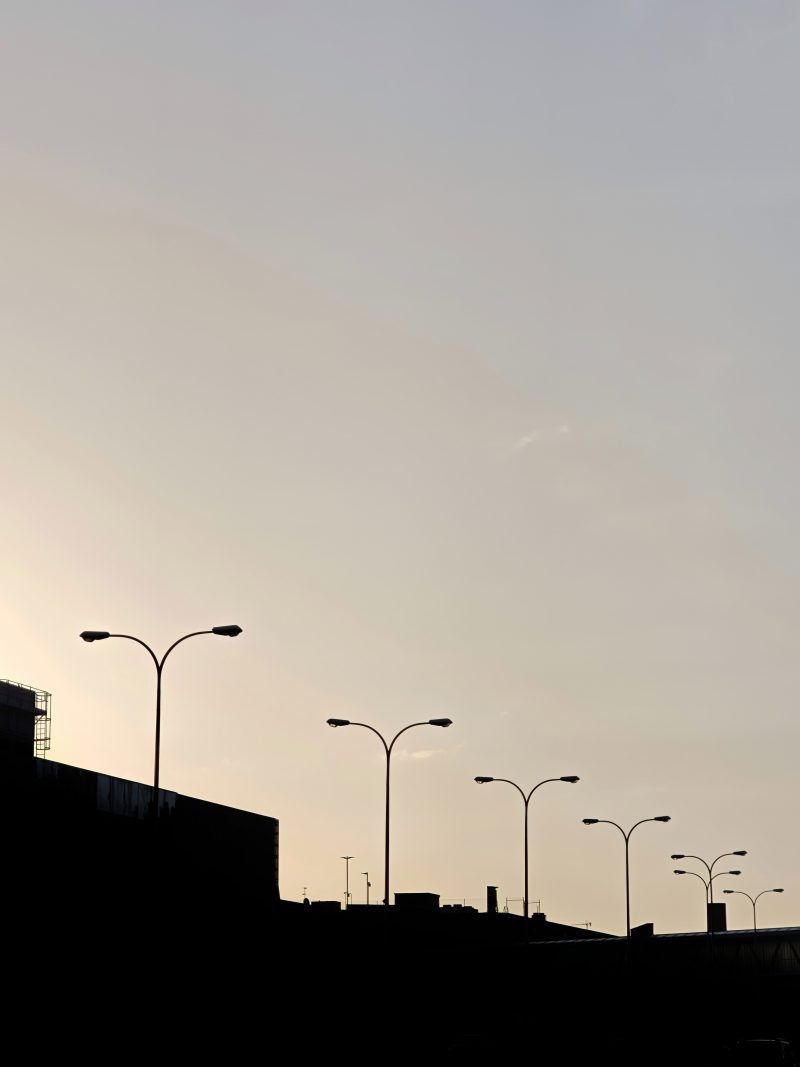 Bosque de Metal – Fotografía creativa móvil en Barakaldo | Ibarakaldo