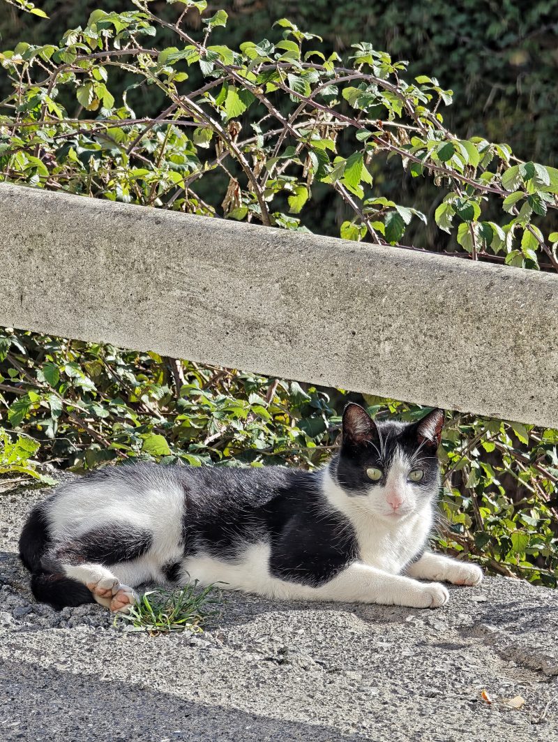 Me caes bien te matare el Ultimo… 2 – Fotografía creativa móvil en Barakaldo | Ibarakaldo