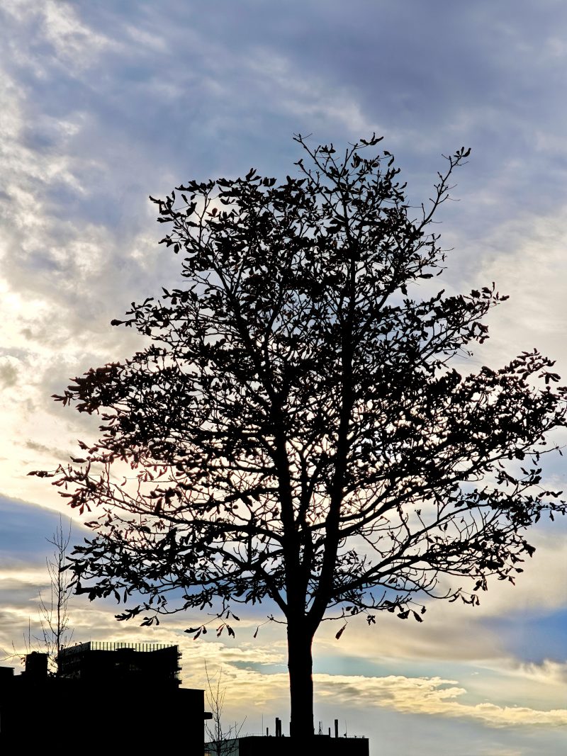 Made in Heaven 185 – El Cielo en Barakaldo | Ibarakaldo