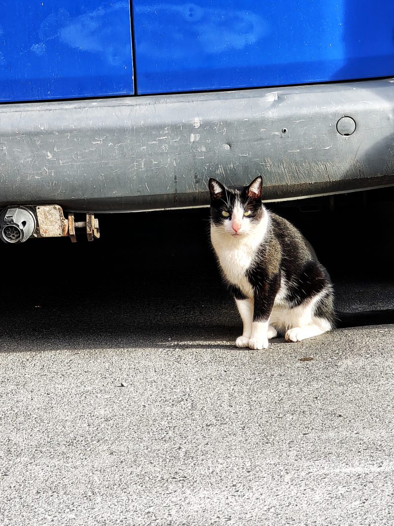 Me caes bien te matare el Ultimo… – Fotografía creativa móvil en Barakaldo | Ibarakaldo