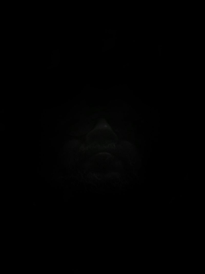 El Susurro de la sombra – Fotografía creativa móvil en Barakaldo | Ibarakaldo