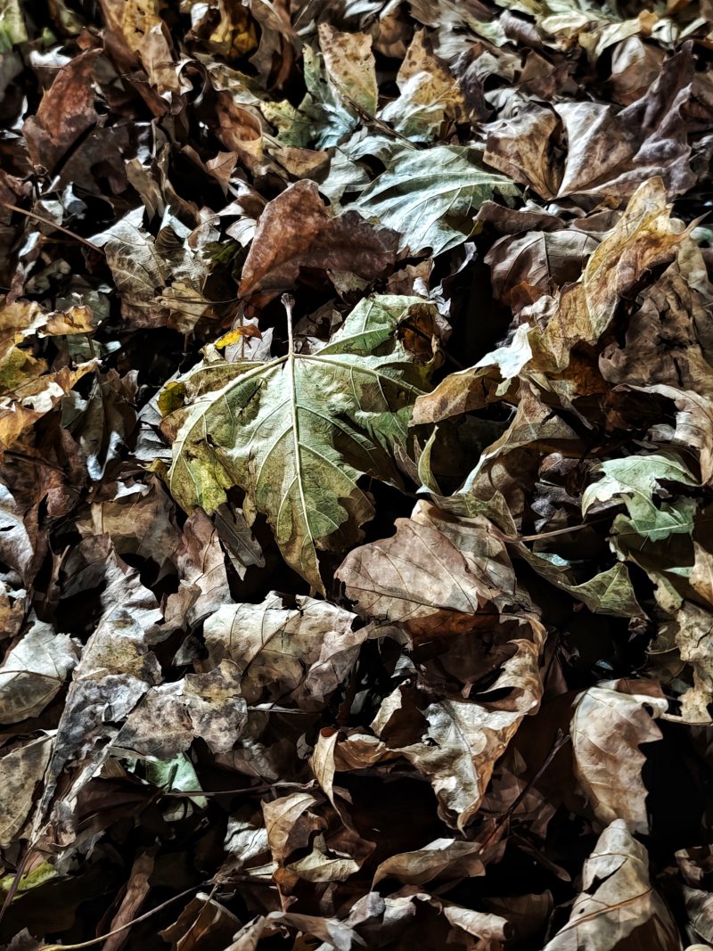 Pausa… – Fotografía creativa móvil en Barakaldo | Ibarakaldo