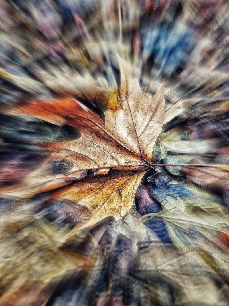 The Winter is Coming 4 … – Fotografía creativa móvil en Barakaldo | Ibarakaldo