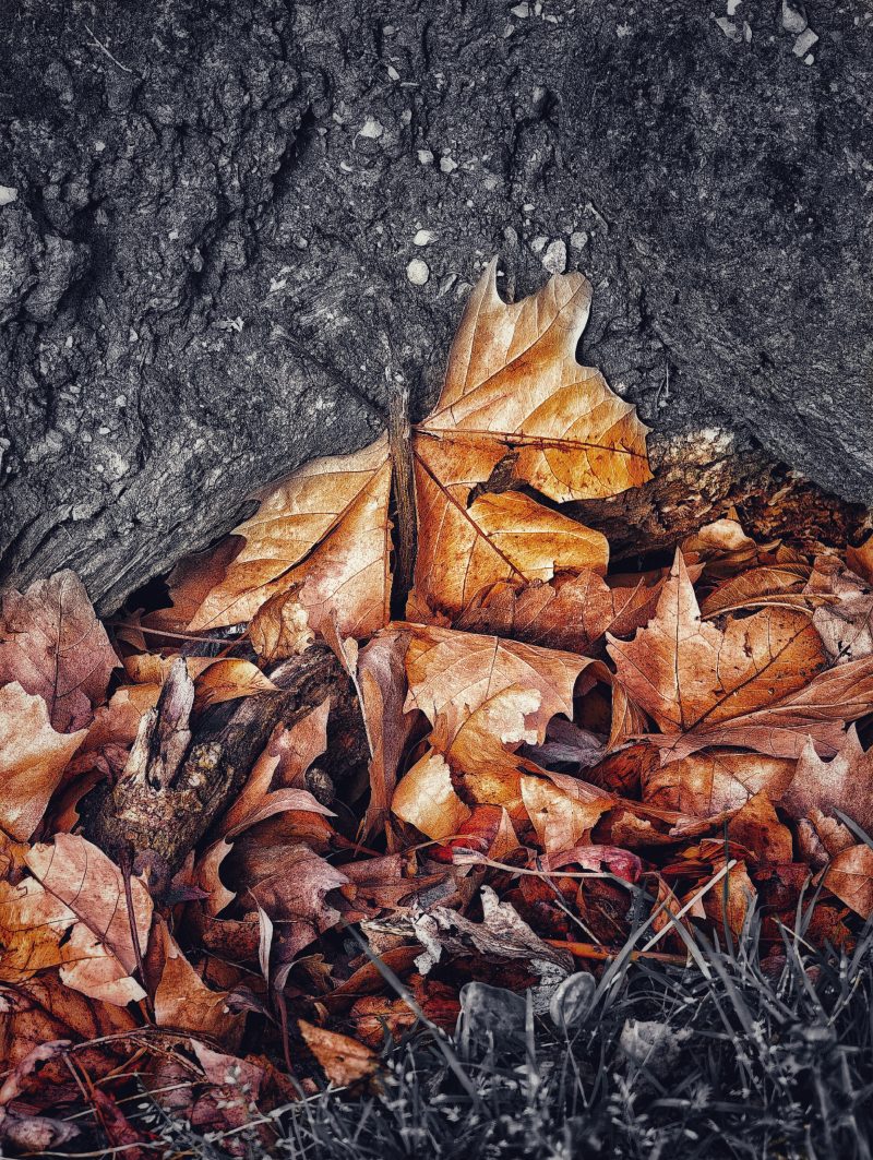 The Winter is Coming 6  … – Fotografía creativa móvil en Barakaldo | Ibarakaldo