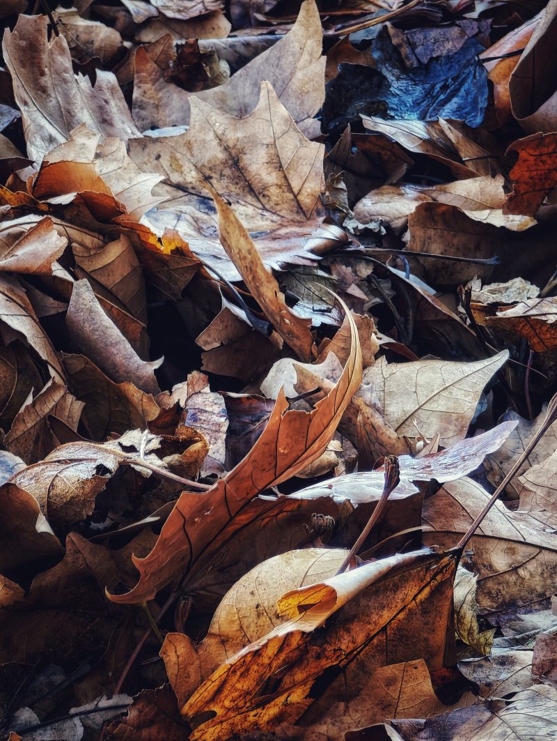 The Winter is Coming … – Fotografía creativa móvil en Barakaldo | Ibarakaldo