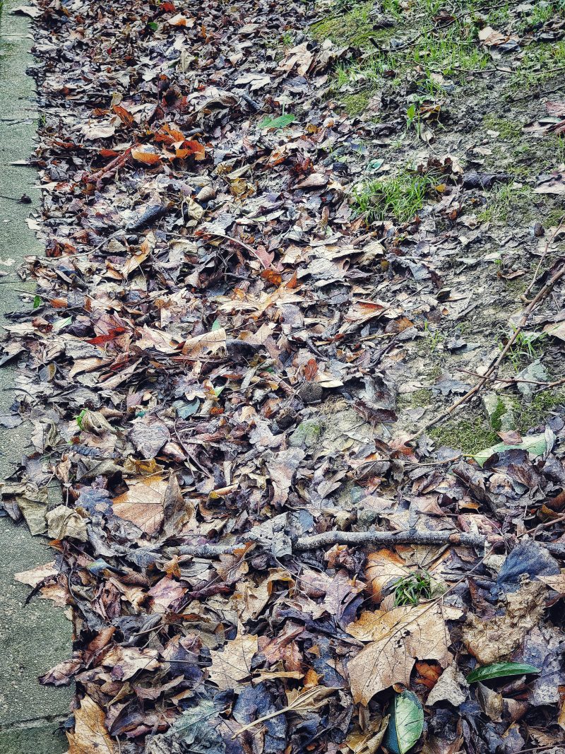 The Winter is Coming 7 … – Fotografía creativa móvil en Barakaldo | Ibarakaldo