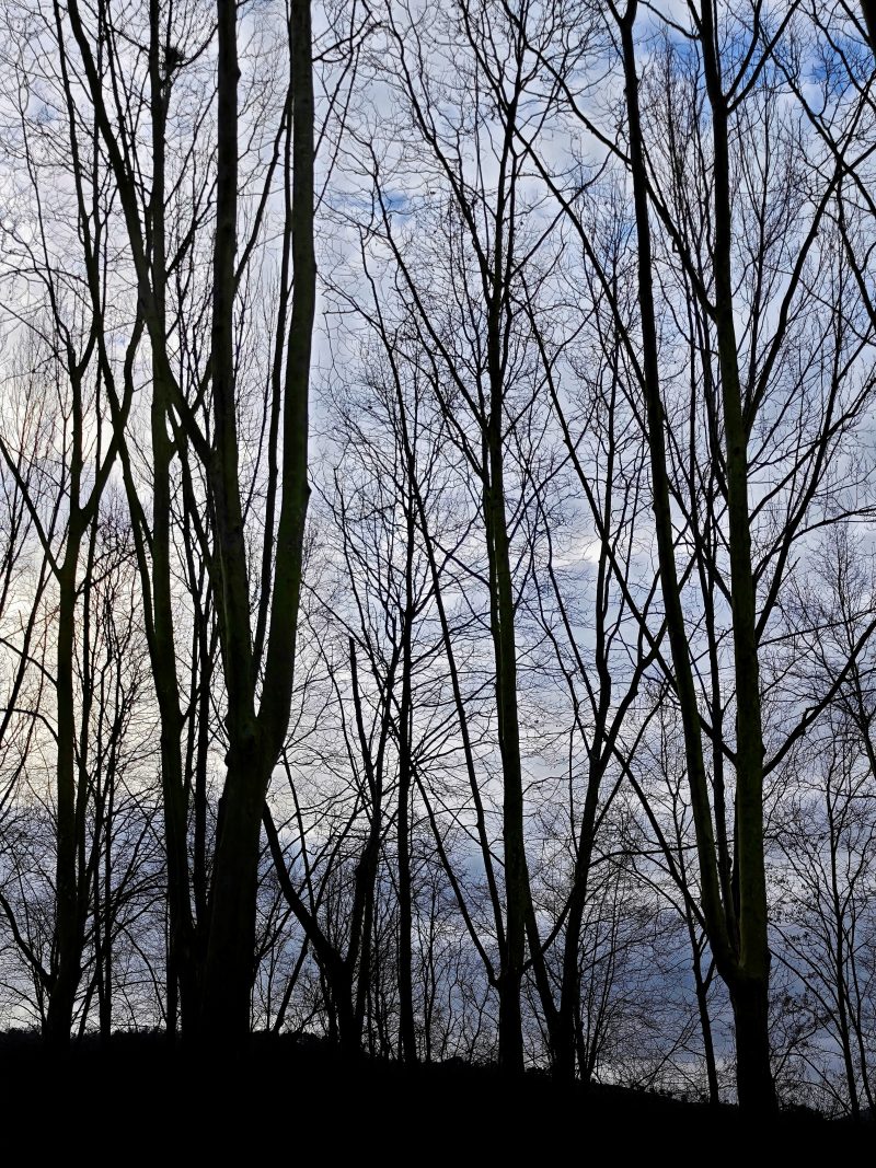 Entre lo terrenal y lo divino … – Fotografía creativa móvil en Barakaldo | Ibarakaldo