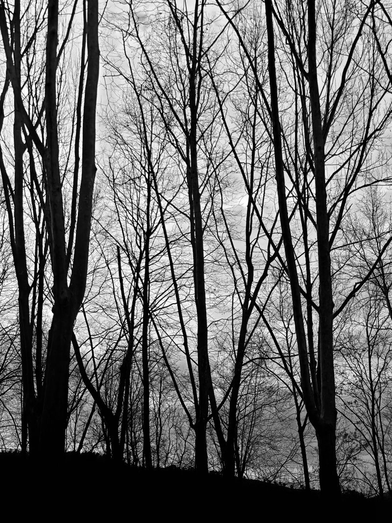 Donde el Cielo se fragmenta… – Fotografía creativa móvil en Barakaldo | Ibarakaldo