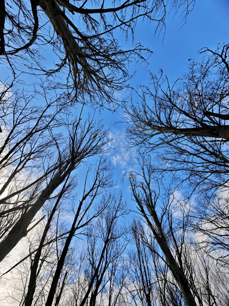 El Abrazo … – Fotografía creativa móvil en Barakaldo | Ibarakaldo