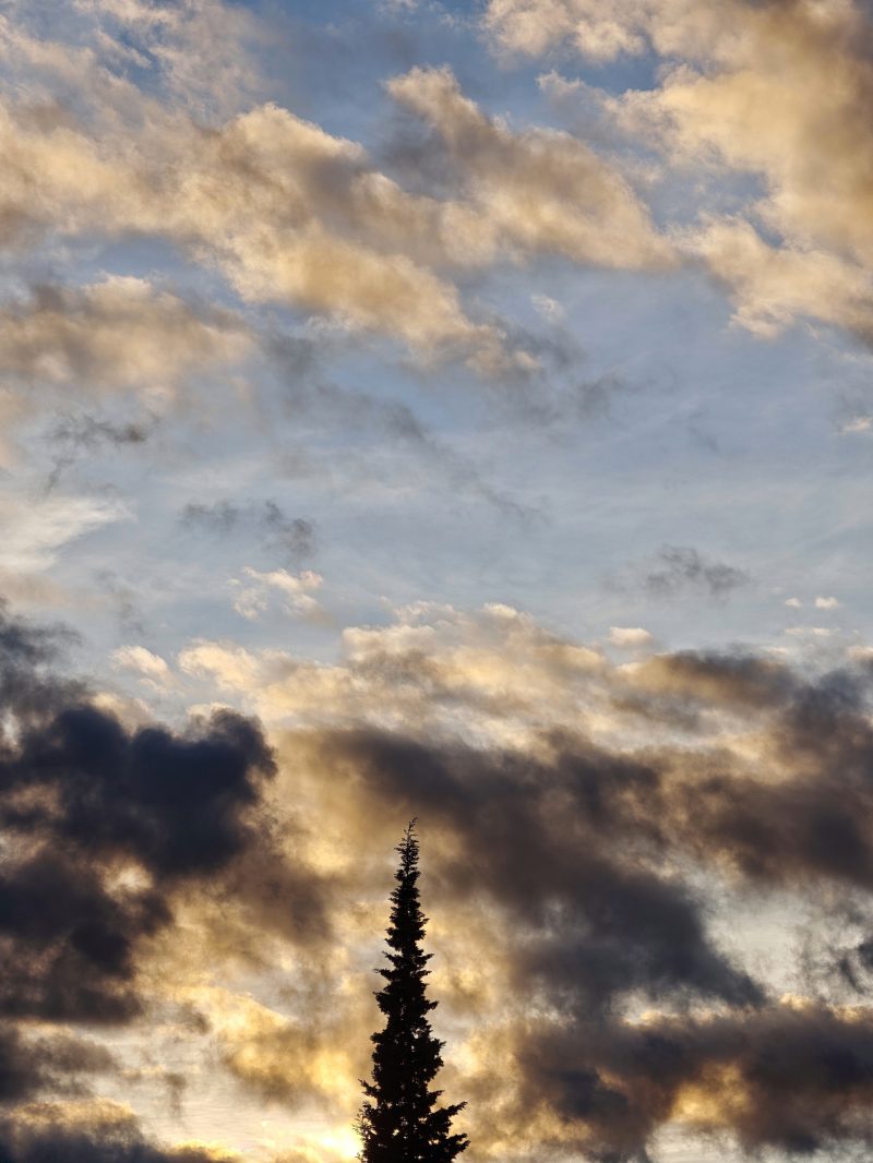 Made in Heaven 190 – El Cielo en Barakaldo | Ibarakaldo