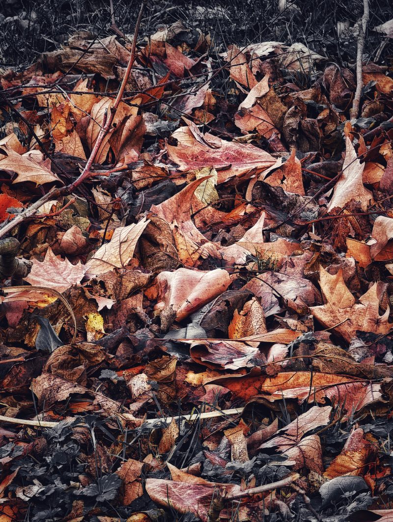 The Winter is Coming 5 … – Fotografía creativa móvil en Barakaldo | Ibarakaldo