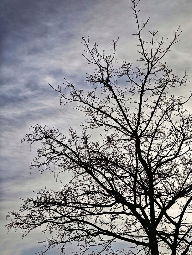 Algun dia …. – Fotografía creativa móvil en Barakaldo | Ibarakaldo