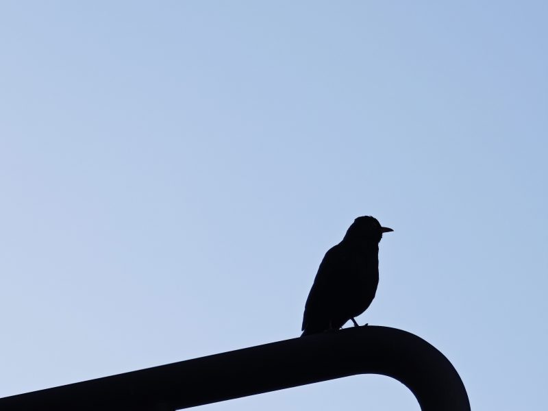 P A U S E 2 … – Fotografía creativa móvil en Barakaldo | Ibarakaldo