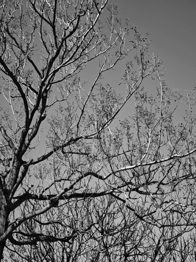 Fragmentos de luz 4 – Fotografía creativa móvil en Barakaldo | Ibarakaldo
